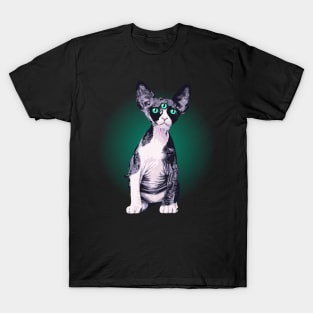 Cuteant Cat T-Shirt
